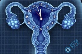 破解反复移植失败的“隐秘时差”：试管技术如何精准狙击种植窗漂移？