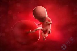试管婴儿成功率的核心密码：探秘子宫内膜血流与形态的“黄金标准”