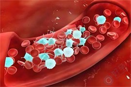 抗磷脂综合征=生育无望？做试管如何打破“反复不着床”的魔咒！