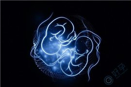 移植1个还是2个胚胎？看完这组双胎风险数据，你可能会改主意