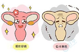 促排取卵会把卵子提前用光、导致卵巢早衰吗？这3个真相要弄清
